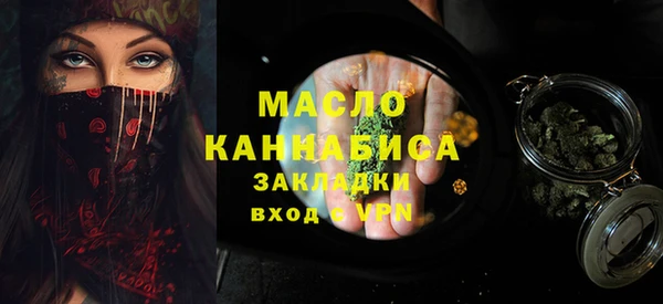 дмт Протвино