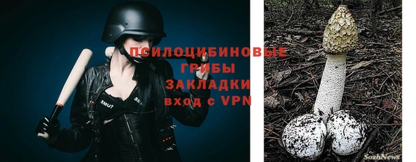 дмт Протвино