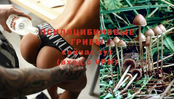 гашик Приозерск