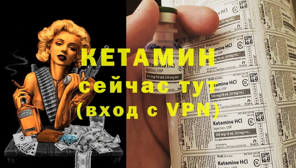 дмт Протвино